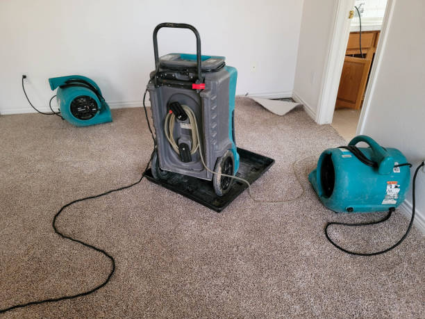 Best Commercial water damage restoration  in Rapid City, SD