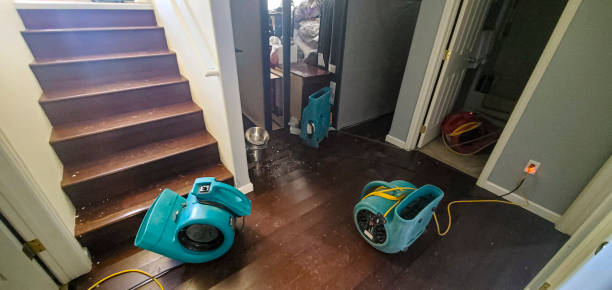 Best Mold removal after water damage  in Rapid City, SD