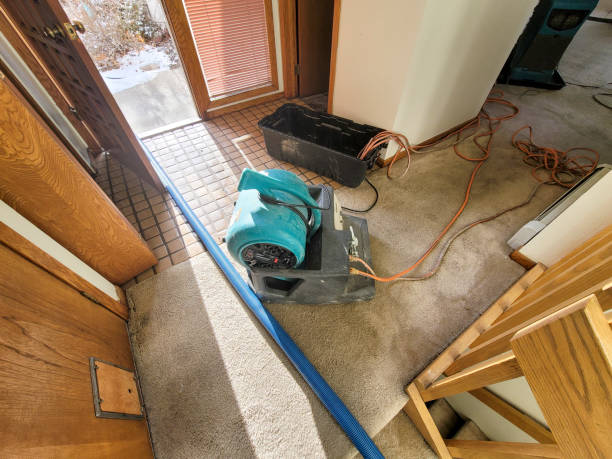 Best Carpet water damage restoration  in Rapid City, SD