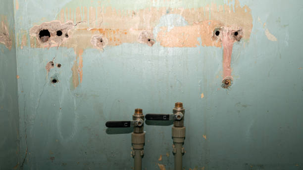 Best Residential water damage restoration  in Rapid City, SD