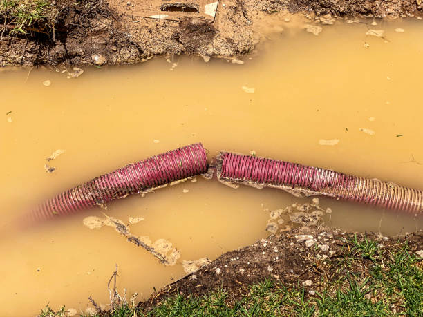 Best 24/7 water damage repair  in Rapid City, SD